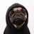 Gevo_MoreIIi
