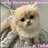 Max_Malshov